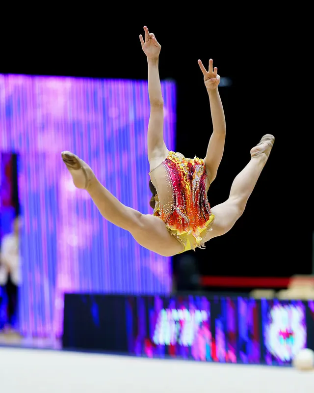 COMPETITIVE ELITE JUNIOR